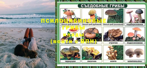 хмурый Корсаков