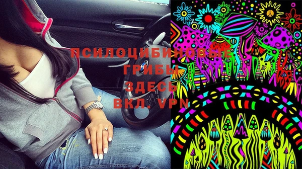 мескалин Аркадак
