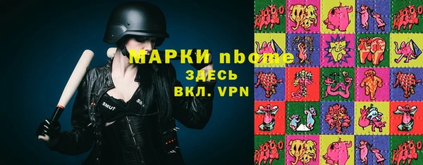 гидра Алексеевка