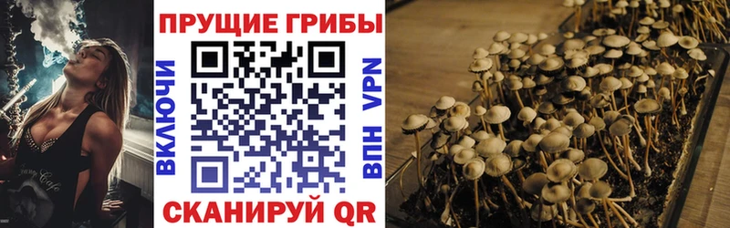 Псилоцибиновые грибы прущие грибы  МЕГА сайт  Сольцы 